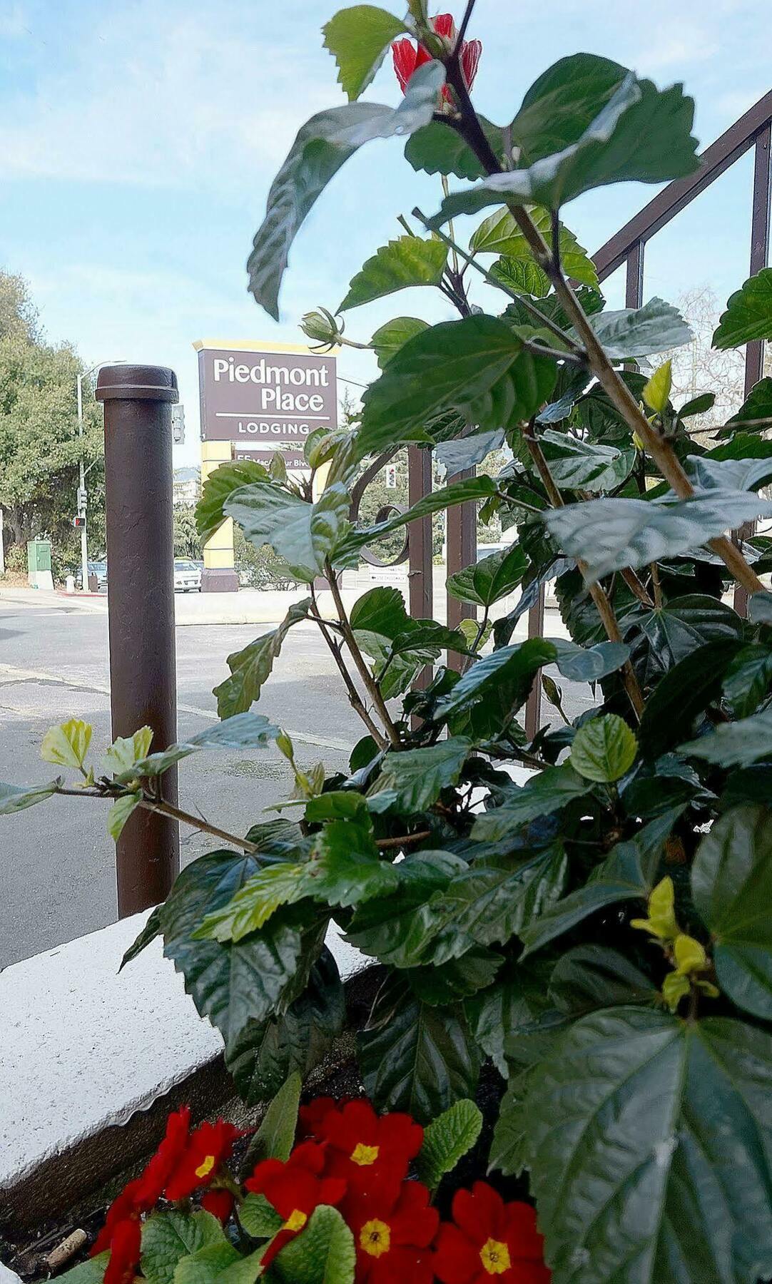 במוטל אוקלנד Piedmont Place מראה חיצוני תמונה